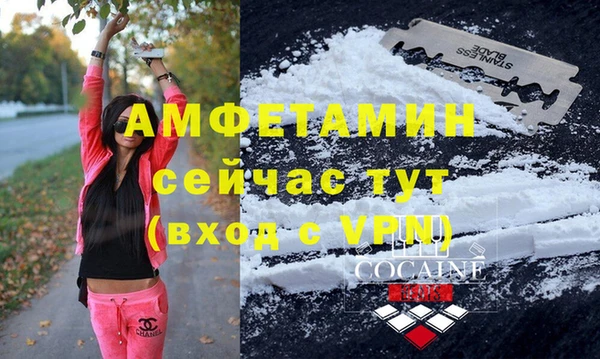 шишки Устюжна